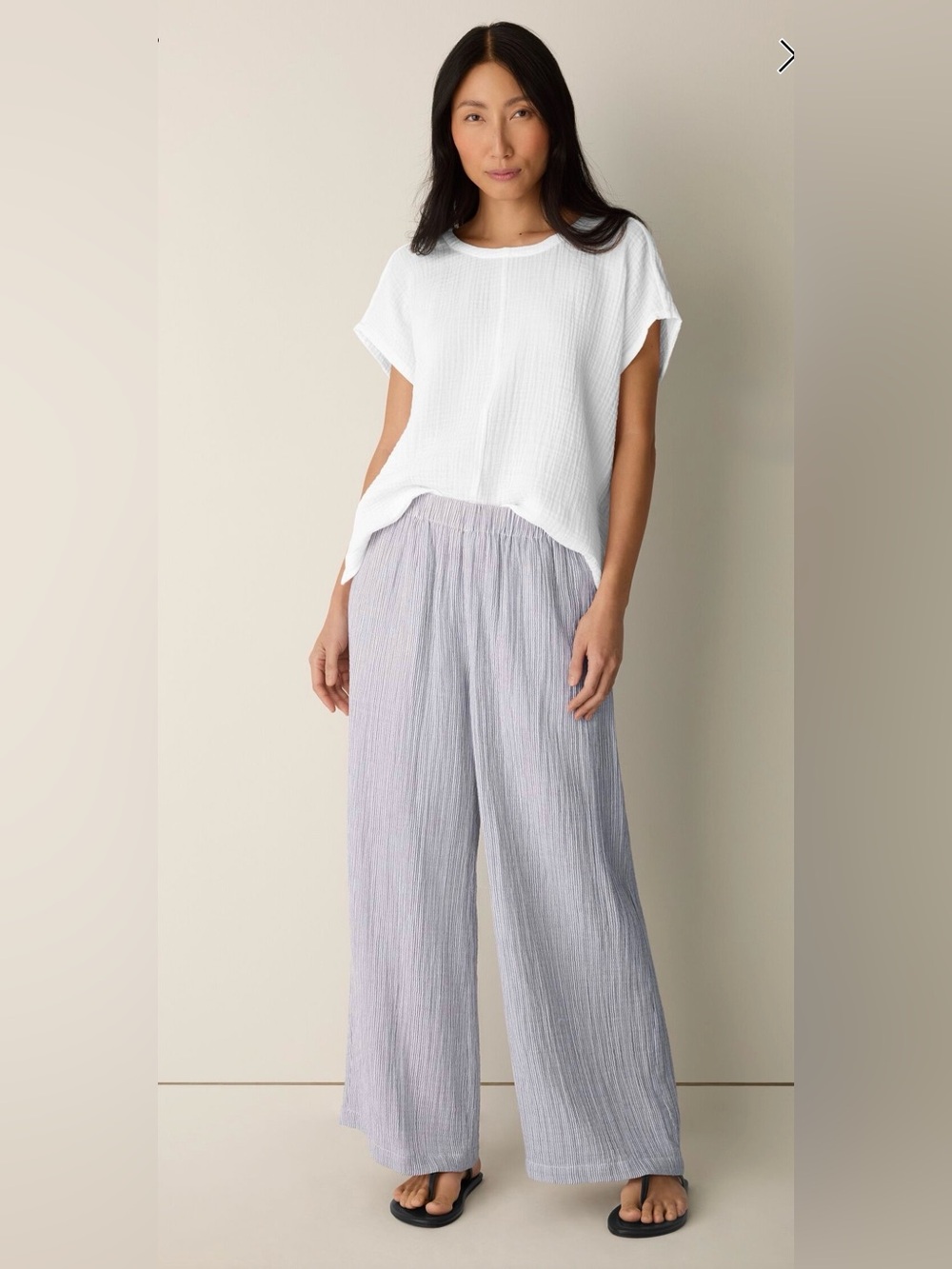 Eileen Fisher Striped Pants Organic Cotton Coastal Grandma Wide-Leg Size XS/TP